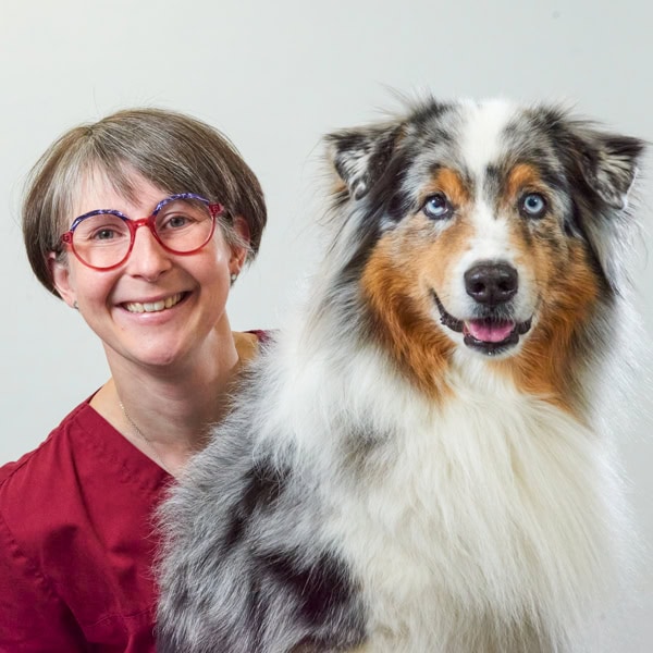 Tierarztpraxis im Karo - TFA Yvonne Hansen